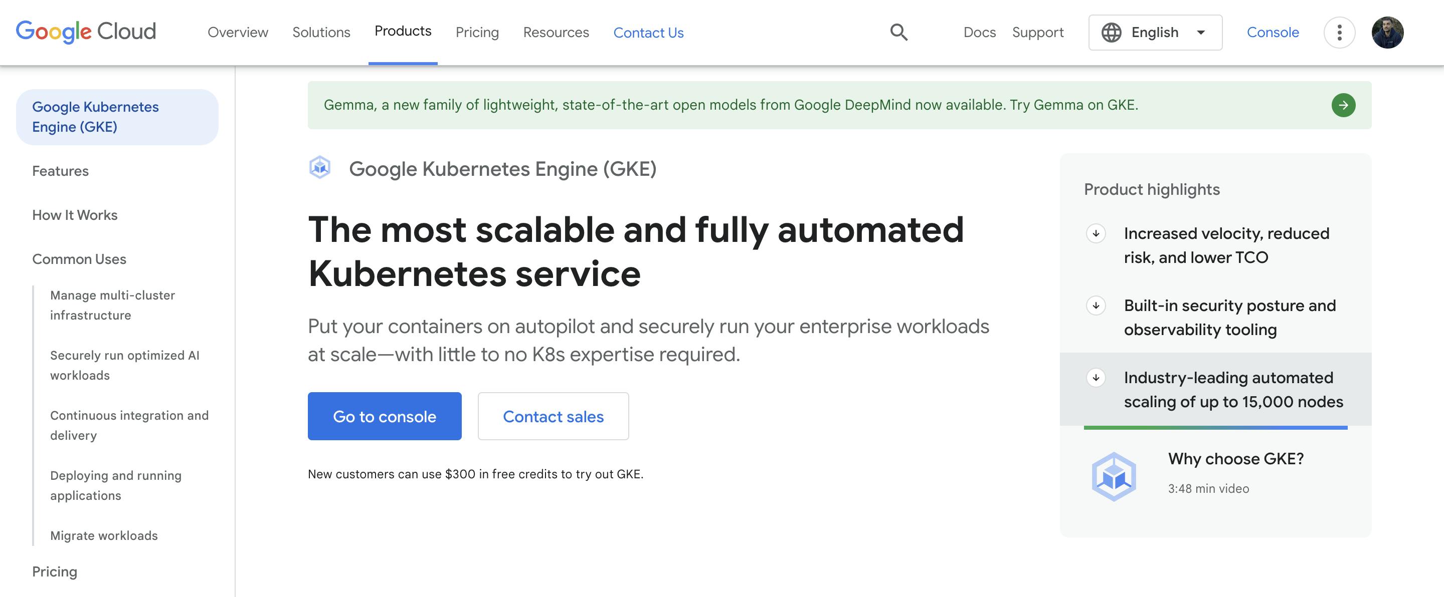 Google Kubernetes Engine (GKE) 