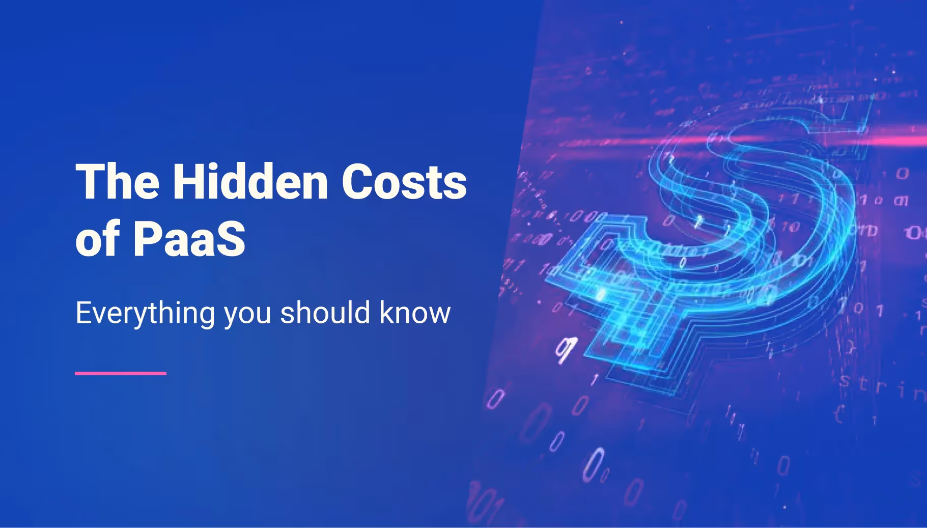 The Hidden Costs of PaaS: Everything You Should Know